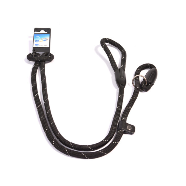 Laisse de dressage Noir