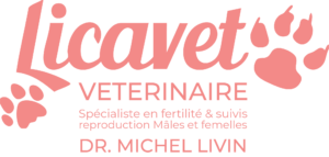 Licavet