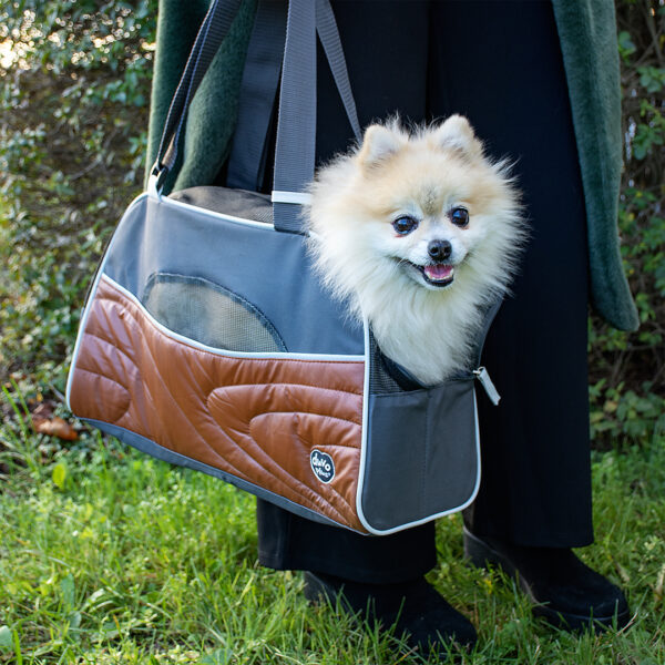 Sac de voyage Paris