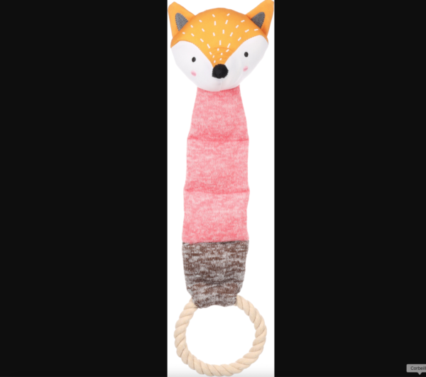 Shiba avec corde