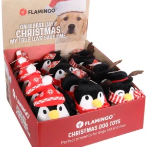 Noël  Manchot Assortiment