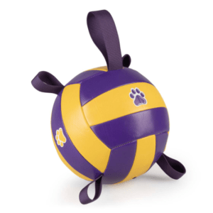 Ballon de Volley avec attaches de jeu