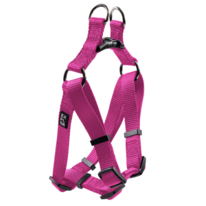 Harnais Step in Fashion Fuchsia S