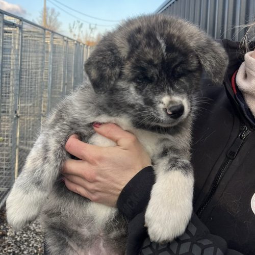 5d294eca-2edb-4d5f-8971-be5931461c25