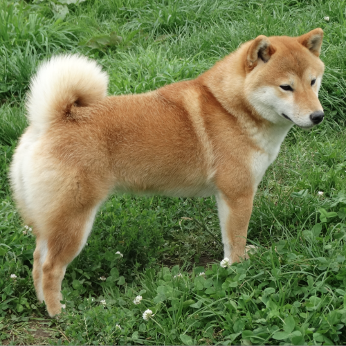 Capture d’écran 2025-12-13 à 15.28.09