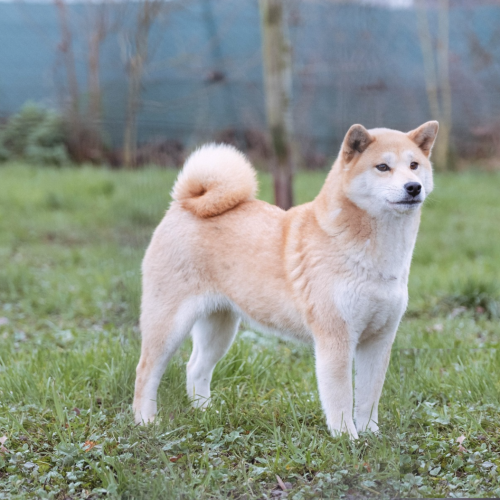 Capture d’écran 2025-12-15 à 12.04.12