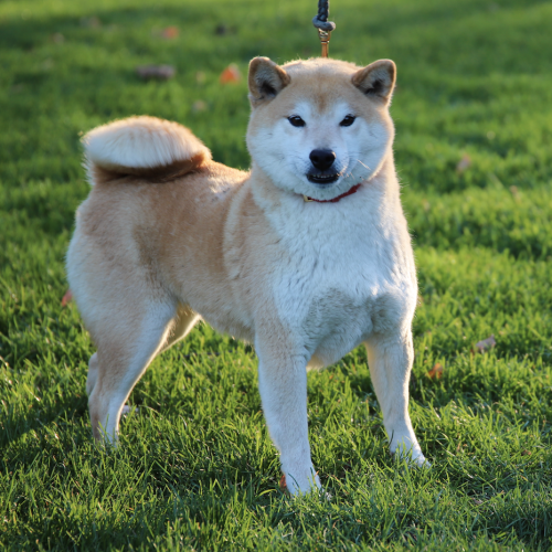Capture d’écran 2025-12-28 à 16.24.08