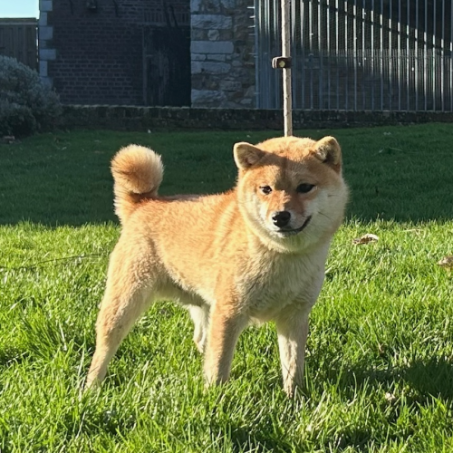 Capture d’écran 2026-03-27 à 17.08.01