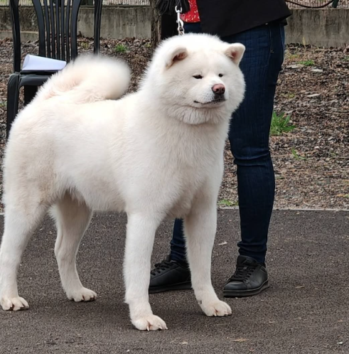 Capture d’écran 2026-04-17 à 14.04.18