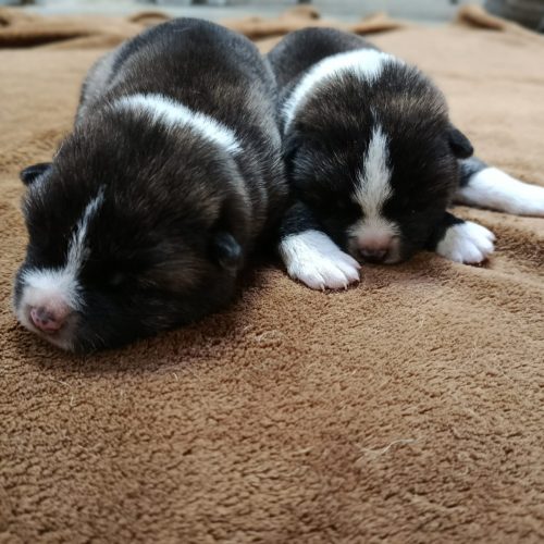 PHOTO-2026-02-15-13-32-45